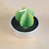 Simulated Succulent Candle Aromatherapy