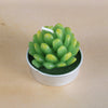Simulated Succulent Candle Aromatherapy