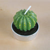 Simulated Succulent Candle Aromatherapy