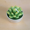 Simulated Succulent Candle Aromatherapy
