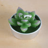 Simulated Succulent Candle Aromatherapy