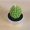 Simulated Succulent Candle Aromatherapy