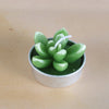 Simulated Succulent Candle Aromatherapy