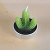 Simulated Succulent Candle Aromatherapy