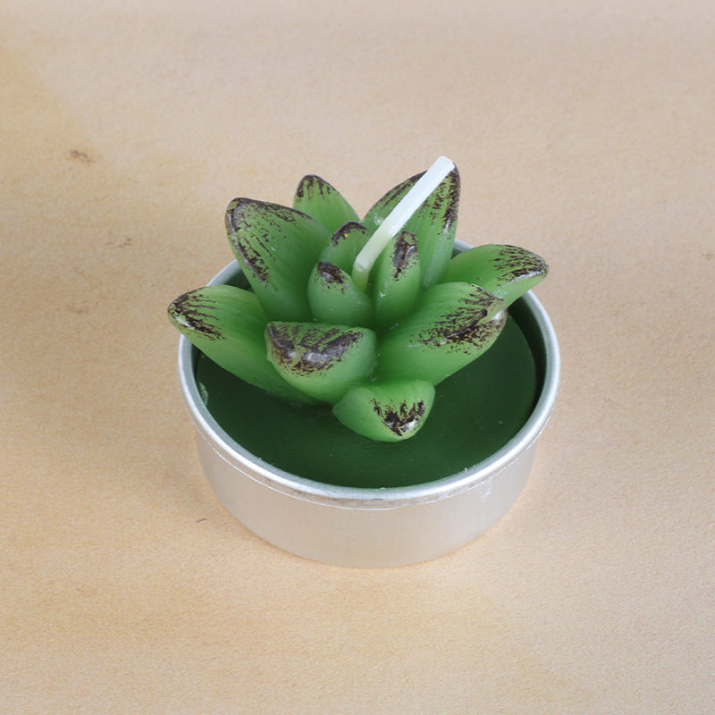 Simulated Succulent Candle Aromatherapy