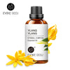 100ML Essential Oils 100% Premium Quality Pure Nature