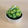 Simulated Succulent Candle Aromatherapy