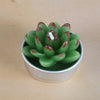 Simulated Succulent Candle Aromatherapy