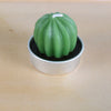 Simulated Succulent Candle Aromatherapy